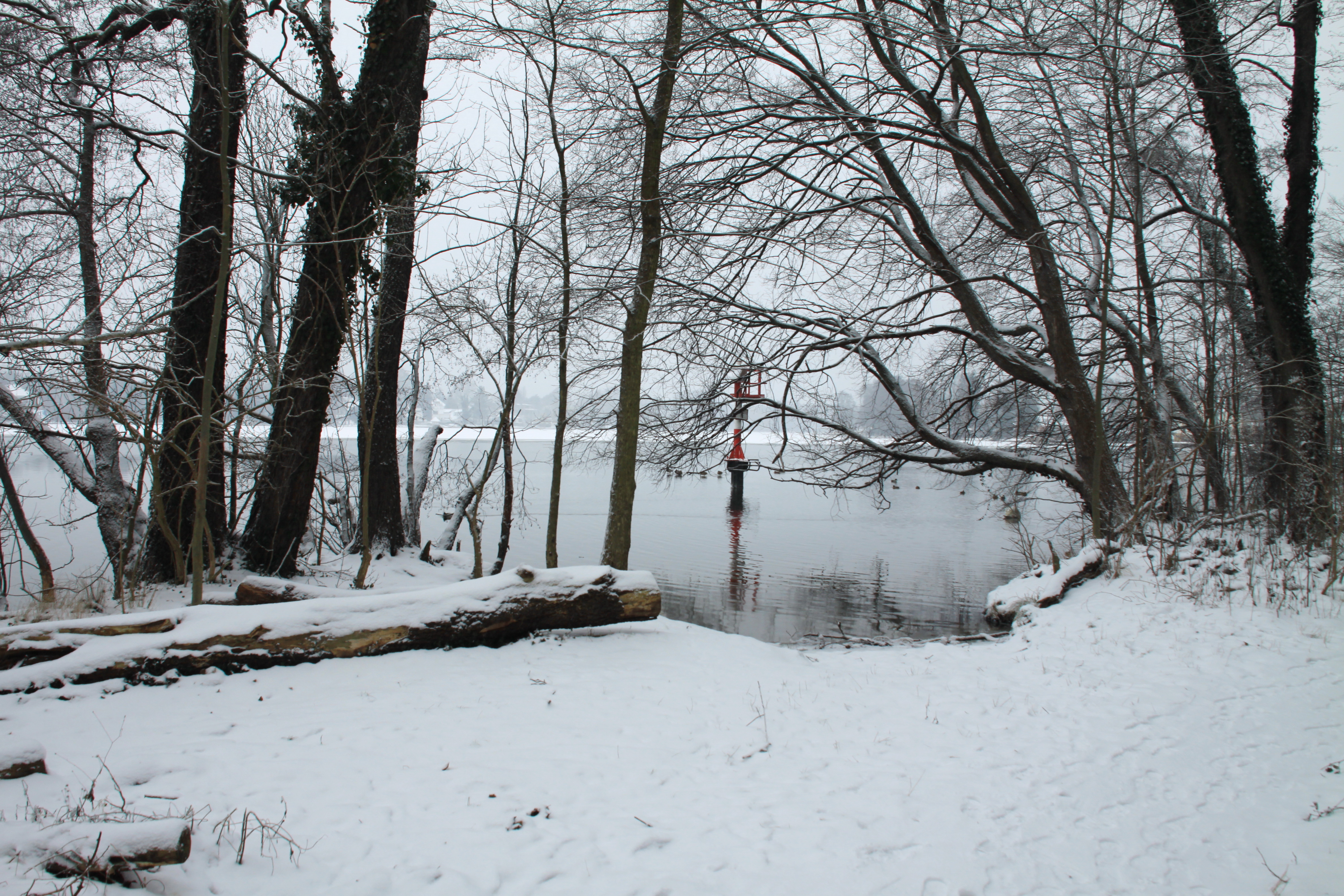 Winterwanderung des WRD am 08. Januar 2017